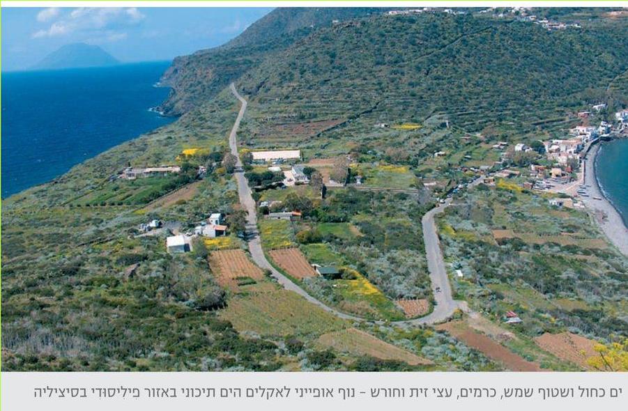 ים כחול ושטוף שמש, כרמים, עצי זית וחורש – נוף אופייני לאקלים הים תיכוני באזור פיליסודי בסיציליה